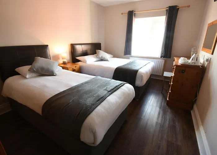 Mcsorleys And Bar كيلارني