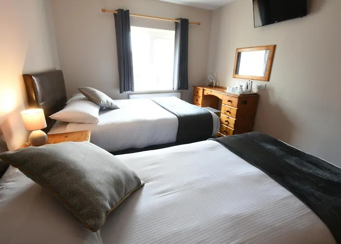 Mcsorleys And Bar بيت ضيافة كيلارني